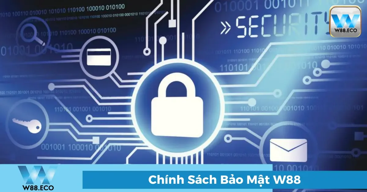 Chính sách bảo mật W88 - An toàn thông tin tuyệt đối 3 Các thông tin được thu thập tại W88